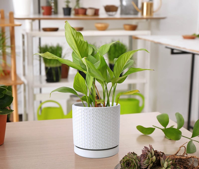 D'vine Dev Set of 2 Modern Matte White Honeycomb Embossed Ceramic Planter Pots with Saucer and Drainage Hole, 4 Inch & 6 Inch, 99-C-1-N - Image 5
